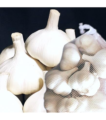 Amazon.co.jp: 青森県産にんにく 福地ホワイト六片種 A品Mサイズ 約1kg