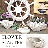 プランター 植木鉢 貝型鉢 巻貝シェル フラワーベース（穴なし） レジン 貝モチーフ 鉢 オーナメント