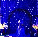 LUCKY CLOVER-A クリスマス6 m * 4 mコードネットライト防水屋内と屋外の装飾8フラッシュモード880 Led（ダブル安価購入）、D