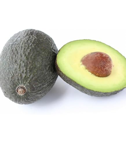 メキシコ産アボカド90個(廃棄品) メキシコ産 ”アボカド” 24〜30玉 約5kg 送料無料 : くらし快援隊