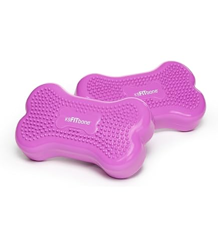 Amazon | FitPAWS® K9FITbone CanineGym® ドッグバランストレーニング