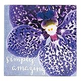 About Face Designs 184839 Simply Amazing Posy壁アート