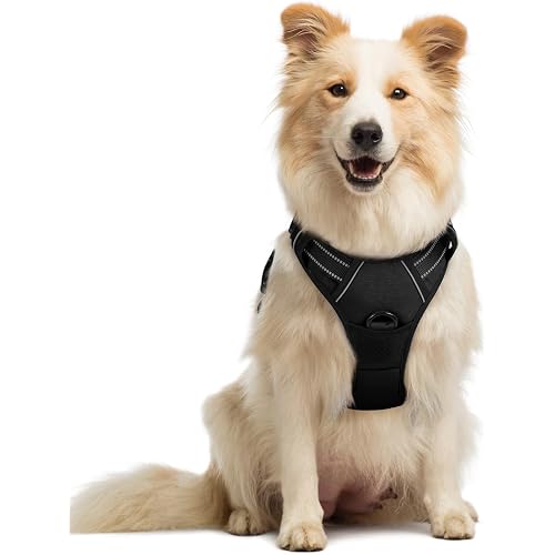 Rabbitgoo Dog Harness No-Pull Pet Harness Adjustable Outdoor Pet Vest 3M Reflective Oxford Material Vest for Dogs Easy Contro
