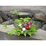 京都 木村花店　和風アレンジメント 京の涼