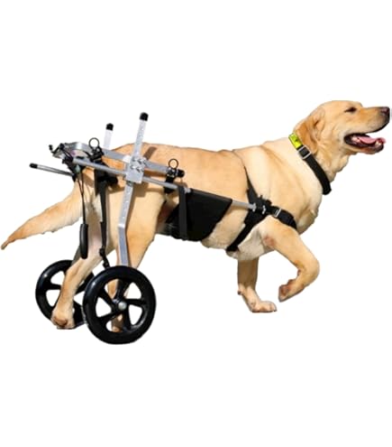 犬用車いす ベージュ 高さ調整可能　WAVEさん作 犬用車いす