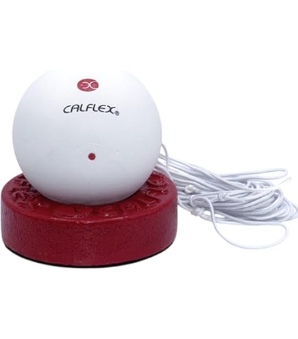 お買い得❗️ソフトテニスボール22球‼️ ソフトテニス ボール アカエム 赤エム アカM ソフトテニスボール