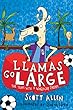 Llamas Go Large: A World Cup Story (English Edition)