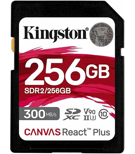 さーふぶろう SanDisk sdカード 512B×2
アダプター付き Amazon.com: SanDisk 512MB SD Secure Digital Memory Card