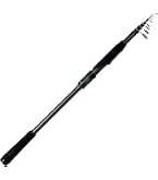 Amazon | ダイワ(DAIWA) 振り出しルアーロッド CROSSBEAT SW 666TUL