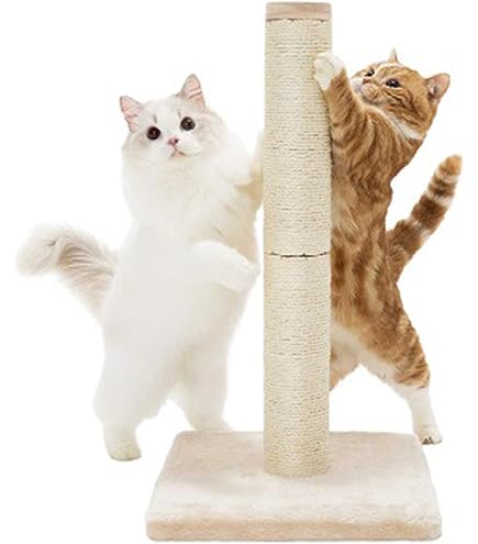 Amazon.co.jp: ペットアイ 爪とぎタワー サボテン Jr. 37×37×高さ80cm