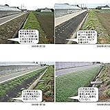通根タイプ防草シート（穴なし） 1.5m×25m[雑草抑制][クラピアに！]