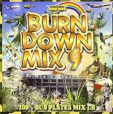 BURN DOWN MIX 9