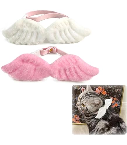 ☘️Cat Amo.k☘️おこまさん 　　　☘️ キャットカラー☘️【レッド】 Amazon | キャット アモック (Cat Amo.k) 810049-0 猫首輪