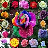 mixed 200 seeds/pack Four Seasons sowing the seeds of perennial flowers, rainbow rose seeds easy to 