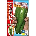 ナント種苗株式会社 ナント種苗 とんがりパワー(ピーマン)
