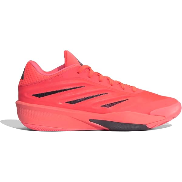 Amazon.co.jp: アディダス（adidas） バスケットシューズ バッシュ