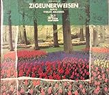 �`�S�C�l�����C�[��/�M�g���X�`���@�C�I�������Ȃ̎��|