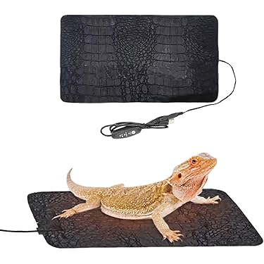 Amazon.co.jp 最新リリース: 爬虫類・両生類用品 の新着ランキングです。