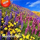 ホームガーデンのための新しい新鮮な種子200シード/ロット多年生野の花組み合わせ鉢植え植栽ワイルドフラワーの種ミックスカラー、＃のAL33O