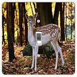ダマジカin Autumn Forest Square – ライトスイッチ RK-LSPS-409
