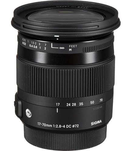Amazon.co.jp: シグマ 170-500mm F5-6.3 APO DG ペンタックス用 : 家電