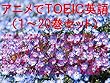 アニメでＴＯＥＩＣ英語（１～20巻セット）