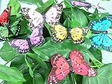 バタフライクリップ花柄ウェディングデコレーションAssorted明るい色3.5 " Wingspan 12セット