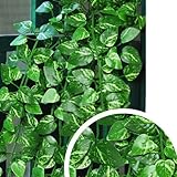 ノーブランド品　観葉植物　人工観葉植物　フェイクグリーン　ガーランド　造花　蔓　葉　アイビー　籐　インテリア　雑貨　グリーン　アーチ 装飾　飾りつけ　壁掛け　壁飾り　グリーンハート　Generic A