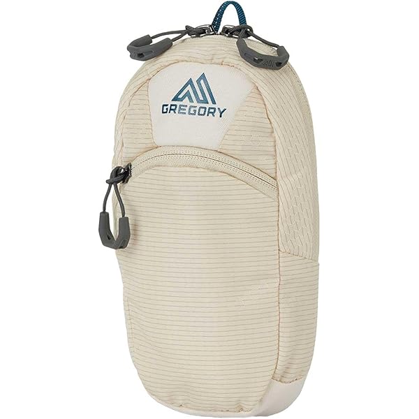 Amazon.co.jp: [グレゴリー] ナノパデッドケースL / 154080 9974