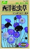 カネコ種苗 草花タネ136 西洋松虫草 リンボウギク混合 10袋セット