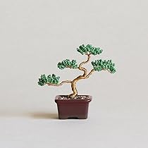 Amazon.co.jp: 家具の里 MIYUKI ネジッテBONSAIキット ハンドメイド