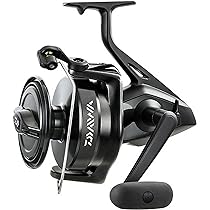 Amazon | ダイワ(DAIWA) リール ソルトウォーター スピン 1/3.4 :1