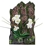 Artificial Flower Arrangement with Real looking Orchid Bark(White)【クリスマス】【ツリー】 [並行輸入品]