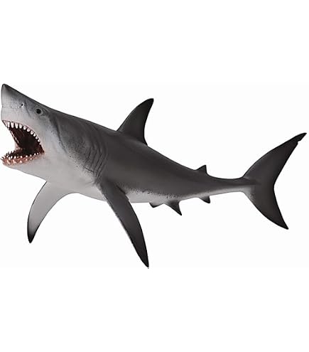 Amazon.co.jp: COLLECTA ホホジロザメ 88729 : おもちゃ