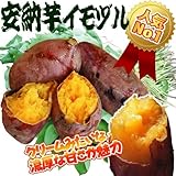 国華園　さつまいも苗イモヅル　安納芋イモヅル　10本【※発送が国華園からの場合のみ正規品です】