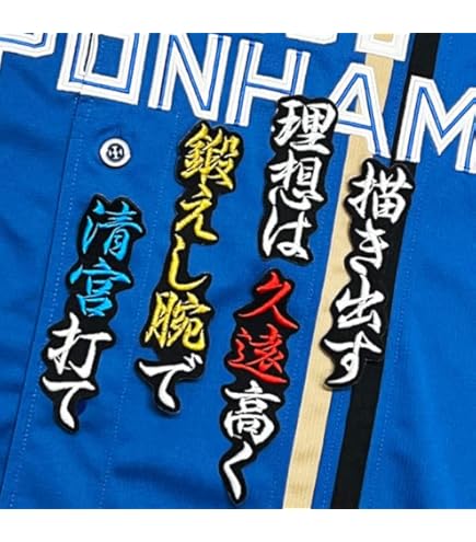 Amazon.co.jp: ファイターズ 刺繍ワッペン レイエス 応援歌 白