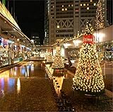 LUCKY CLOVER-A 余分な大規模な2600 LED 10 * 8メートルネットライト屋内と屋外の建物のオフィス防水クリスマスプレゼント（カスタマイズすることができます）、暖かい白