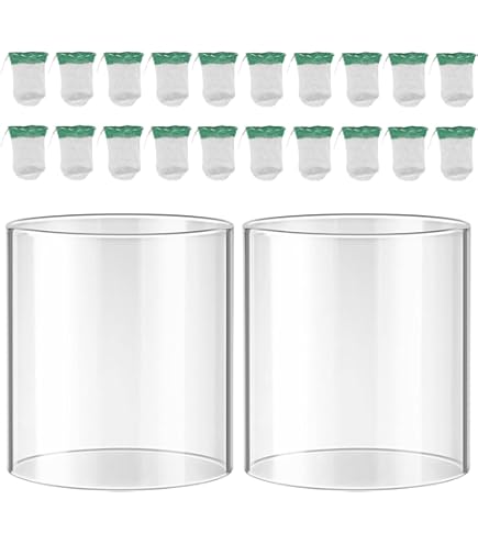 Amazon.co.jp: 燃料付きランタン用ガラスグローブ。コールマンランタン