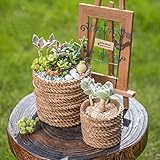 KINGZUO　多肉 植物 鉢 室内　麻ロープ　サボテン　プランター　おしゃれ　観葉植物　懐かしい　誕生日　プレゼント　飾り 犬　多肉植物プランター　フラワースタンド　寄せ植えの箱　ウッドボックス　可