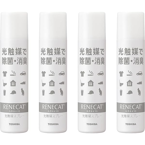 空気触媒NS-C 業務用スプレー　10本　触媒　除菌 空気触媒NS-C 業務用スプレー 10本 触媒 除菌