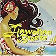 Amazon ディズニー ハワイアン アルバム Da Best ヴァリアス アーティスト アニメ ミュージック