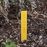 ゴールドカラーラベル黄色1.2cm×9cm 100枚入り 3袋(300枚) ノーブランド品