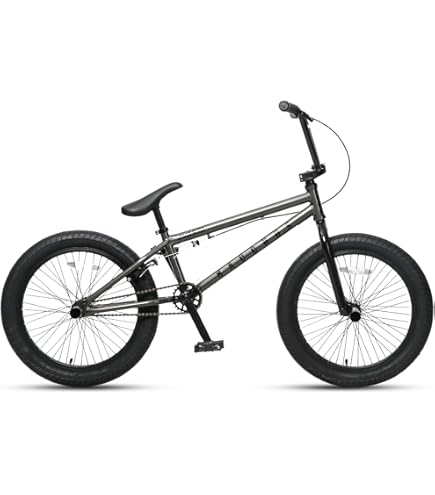 avasta  Bucchus BMX  20インチ Amazon.co.jp: AVASTA BucchusBMX Bicycle 20