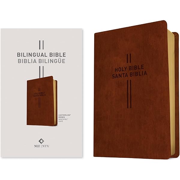 バイリンガル聖書[旧新約] 新改訳2017/ESV (いのちのことば社