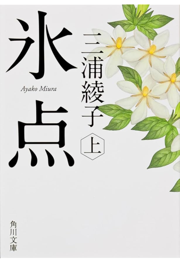 Amazon.co.jp: 『氷点』『続 氷点』 全4冊セット : 本