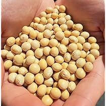Amazon.co.jp: 佐賀県産フクユタカ大粒（大豆）1㎏ : 食品・飲料