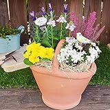 花由　季節のおまかせカントリーガーデン 春ver【最短の日程を希望】【3月31日までお届け】