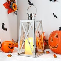 Amazon.co.jp: TRIROCKS ステンレススチール 装飾ランタン 高さ