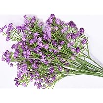 かすみ草ページ 61oRZXQE2FL._AC_UL210_SR210,