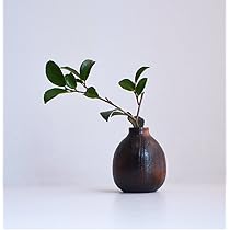 61oRZfPfOJL._AC_UL210_SR210,